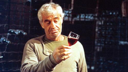 Stranger in the House filmas žiurėti online