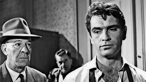 Lola filmas žiurėti online