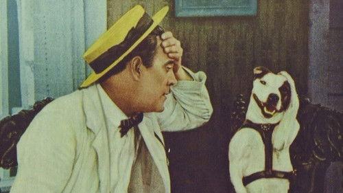 The Golden Age of Comedy filmas žiurėti online