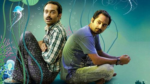 Natholi Oru Cheriya Meenalla filmas žiurėti online