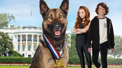 Max 2: White House Hero filmas žiurėti online