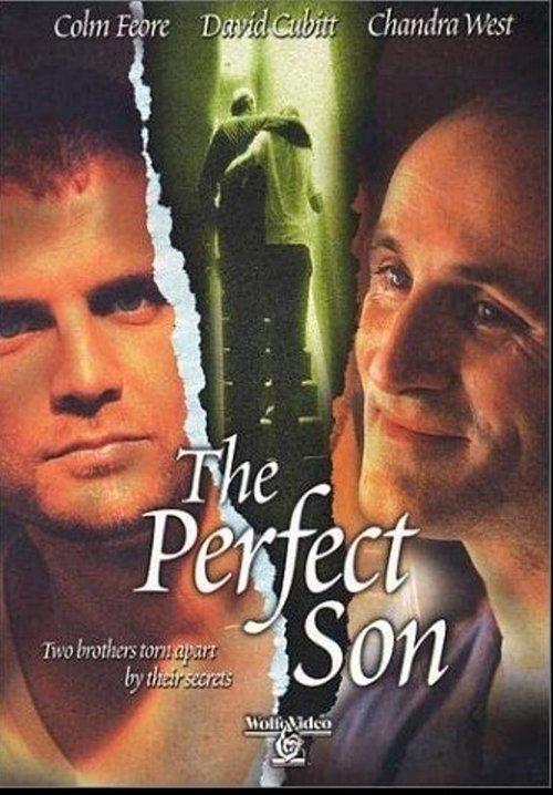 The Perfect Son filmas online