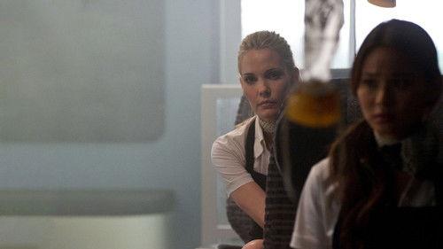 Flight 7500 filmas žiurėti online