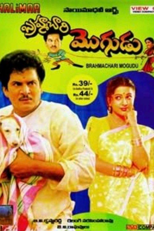 Brahmachari Mogudu filmas online