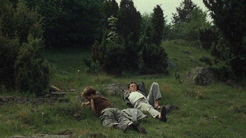 Shades of Fern filmas žiurėti online