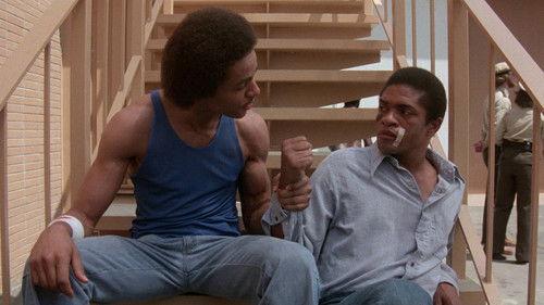 Penitentiary filmas žiurėti online