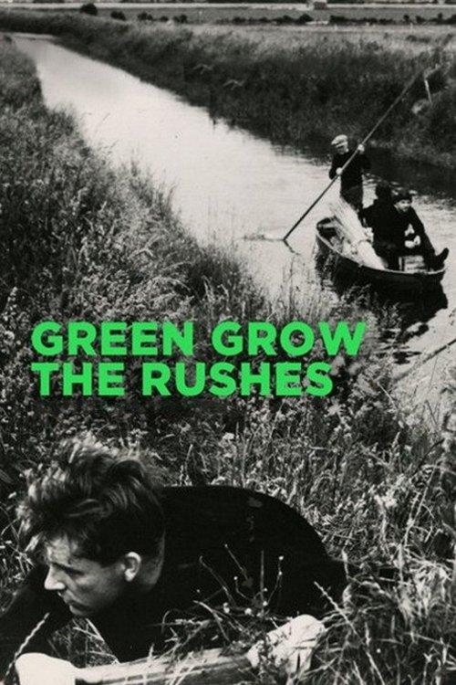 Green Grow the Rushes filmas online