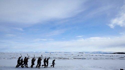 The Grizzlies filmas žiurėti online