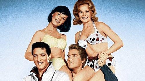 Kissin' Cousins filmas žiurėti online