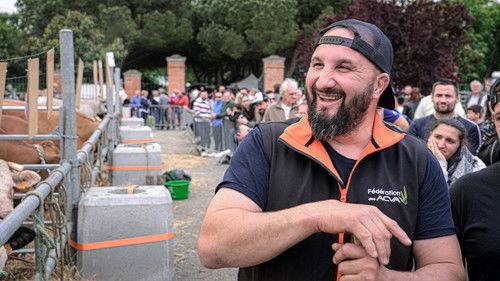 Rural filmas žiurėti online