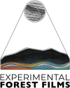 Experimental Forest Films studio logo