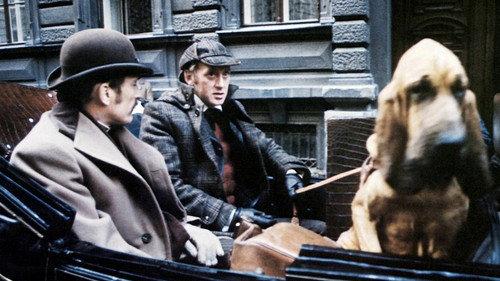 The Seven-Per-Cent Solution filmas žiurėti online