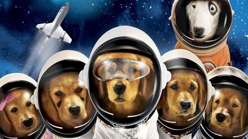 Space Buddies filmas žiurėti online