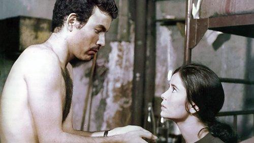 Elise, or Real Life filmas žiurėti online