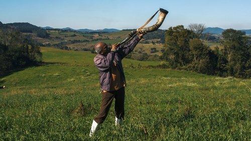 Memory House filmas žiurėti online