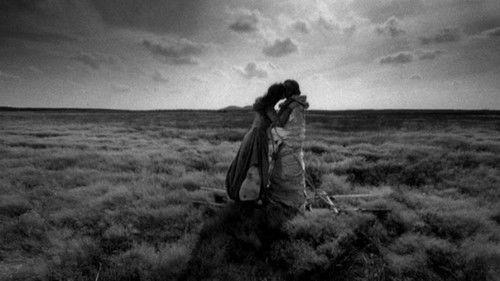 Anchoress filmas žiurėti online