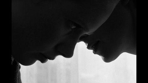 The Arborist filmas žiurėti online