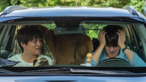 My Heart Puppy filmas žiurėti online