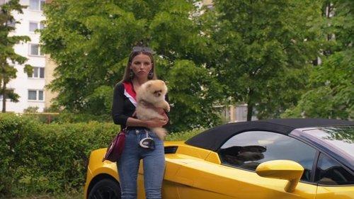 Fake Millionaire filmas žiurėti online