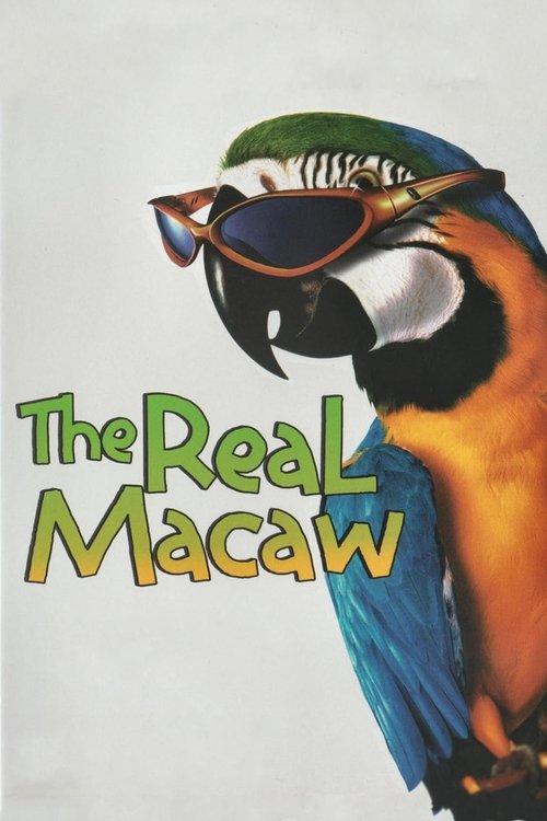 The Real Macaw filmas online