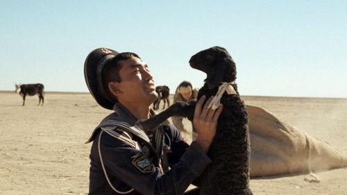 Тюльпан filmas žiurėti online