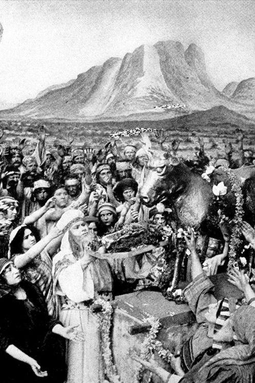 The Life of Moses filmas online