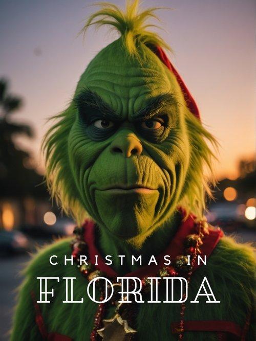 Christmas In Florida filmas online
