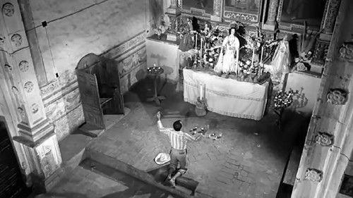 Tlayucan filmas žiurėti online