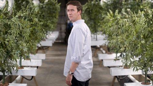 Žolės lapai filmas žiurėti online