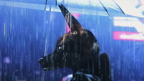 Bouchra filmas žiurėti online