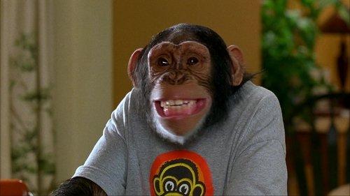 MXP: Most Xtreme Primate filmas žiurėti online