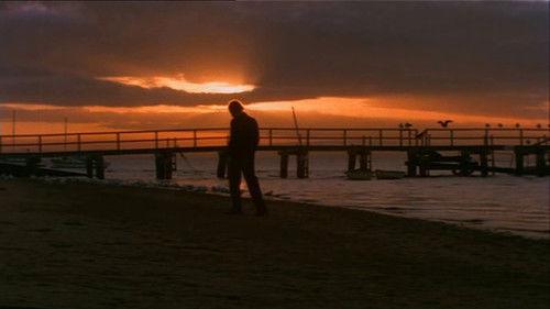 Summerfield filmas žiurėti online