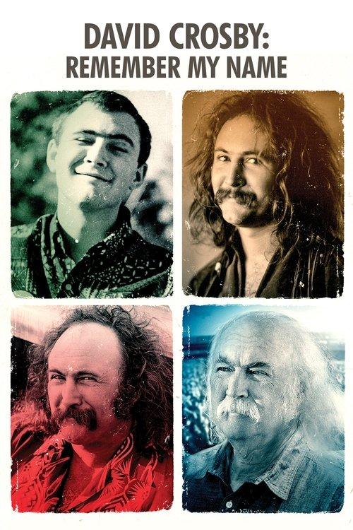 David Crosby: Remember My Name filmas online