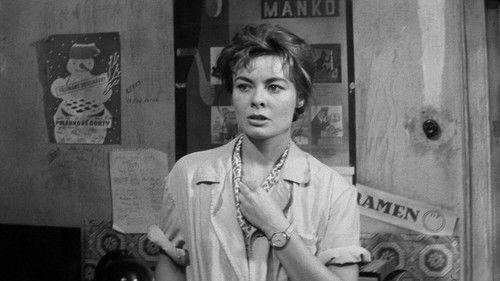 90° in the Shade filmas žiurėti online