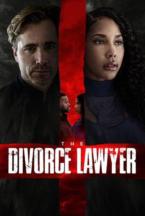 The Divorce Lawyer filmas online