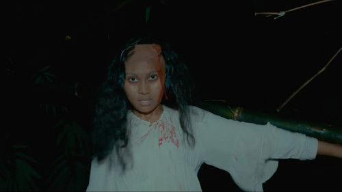 Before Night Falls filmas žiurėti online