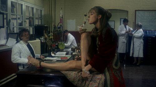 Wonderwall filmas žiurėti online