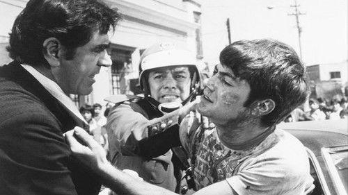 Perro callejero filmas žiurėti online