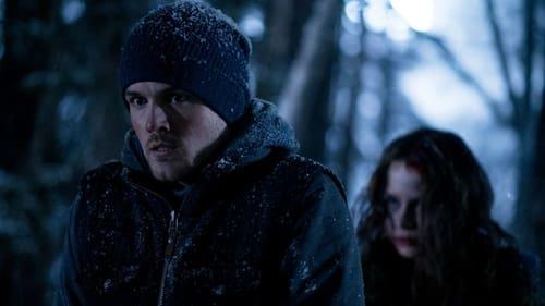 Witches in the Woods filmas žiurėti online