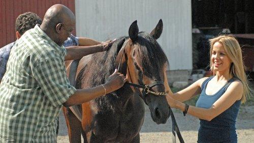 Amazing Racer filmas žiurėti online