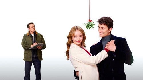 To Have and to Holiday filmas žiurėti online