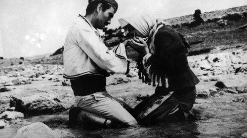 Red River, Black Sheep filmas žiurėti online