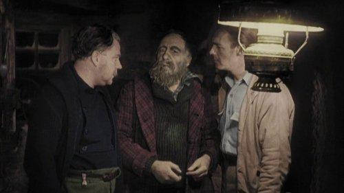 She filmas žiurėti online