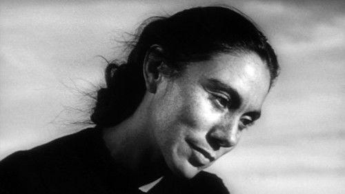 Salt of the Earth filmas žiurėti online