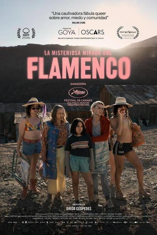 La misteriosa mirada del flamenco filmas online