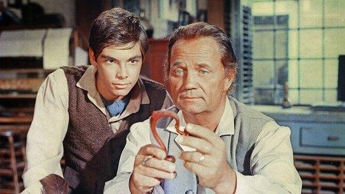 Johnny Tremain filmas žiurėti online