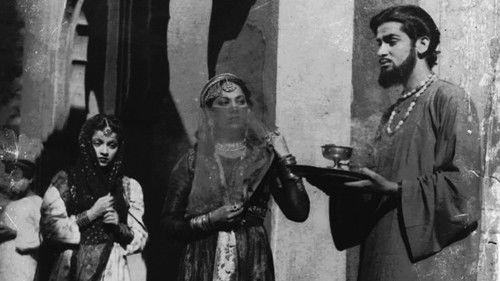 Shama Parwana filmas žiurėti online