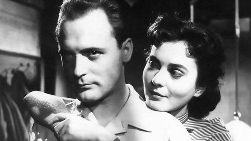 Don't Whisper filmas žiurėti online