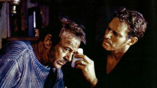 The Wreck of the Mary Deare filmas žiurėti online