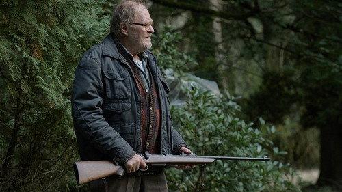 Divočina filmas žiurėti online